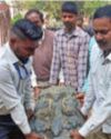 12th Century statue of Sun god found at Damodar riverbed