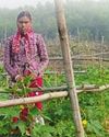 Women farmers transform agriculture with organic revolution and indigenous crops