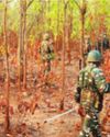 Chhattisgarh: Five Maoists killed in encounter with security forces in Bijapur