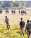 Security forces gun down 12 Maoists at Chh'garh-T'gana border