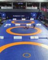 Sports Ministry Revokes Suspension on Wrestling Federation of India70