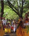 Forest department bans Holi celebrations in Sonajhuri