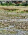 Japanese technology to aid ₹3,000 cr river revival plan Japanese technology to aid ₹3,000 cr river revival plan
