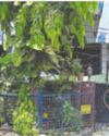 Domestic help found dead at football legend PK Banerjee's residence Domestic help found dead at football legend PK Banerjee's residence