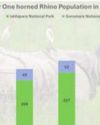 Rhino Population Rises to 331 in Jaldapara National Park Rhino Population Rises to 331 in Jaldapara National Park