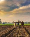 Govt Reiterates Commitment to Farmers' Welfare28