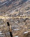 Prolonged dry spell and jhum burning push up Aizawl's air pollution levels56