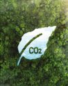 Climate change accelerating with natural carbon storage decline69