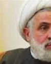 Hezbollah rejects normalization with Israel, condemns Israeli violation in Lebanon45
