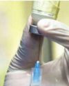 Health Ministry's new digital portal to track rabies vaccine, anti-snake venom stocks40