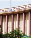 No special treatment from govt or any regulatory authority: LIC on USTR remark48