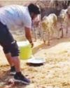 Madhya Pradesh forest department driver removed for providing water to cheetahs2