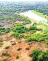 Kancha Gachibowli land case: Telangana govt moves HC complaining of fake posts31