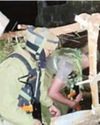 Windstorms damage orchards, infrastructure across J&K41