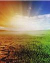 India emerges as $24 billion opportunity in global climate adaptation and resilience market49