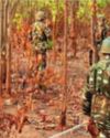 20 Maoists Neutralized as Amit Shah's Mission 2026 Accelerates in Chhattisgarh22