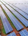 India Surpasses Germany To Become World's Third Largest Producer Of Wind, Solar Energy49