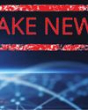Freedom of Information and Burden of Disinformation32