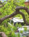 UP: 22 die in different incidents as hail storm wreaks havoc56