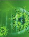 Kerala reports 2 Covid deaths in May, health dept advises caution40