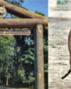 UP Govt Set To Launch ‘Buffer Mein Safar’ Yojana To Boost Eco-Tourism42