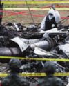 No emergency communication occurred before the fatal patrol plane crash: South Korean Navy41