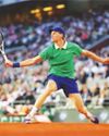 Sinner sprints into Roland Garros QFs with win over Rublev66