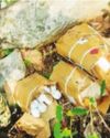 Explosives looted by Maoists recovered in joint operation by Odisha and Jharkhand forces26