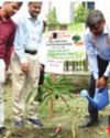 Board promotes use of jute as natural fibre Board promotes use of jute as natural fibre