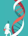 'Supply and demand' constraints protein synthesis, reveals study60