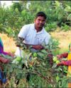 An Effective Model for Small Farmers40