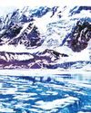 Himalayan glacial melt speeding up55