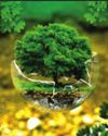 Green transformation through environmental governance47