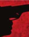 Criminals Open Fire at NH Construction Site in Jharkhand's Palamu; Laborer Injured28