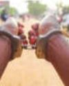 Kaliganj bomb blast: One more arrested, tally total 1025