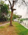 KMC to beautify wetlands as part of city heritage: Mayor20