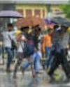 Heavy rain expected in Kolkata: IMD13