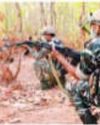 Security forces neutralise Maoist sniper in Chhattisgarh encounter29