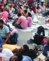 Calcutta HC Orders Exclusion of 'Tainted Candidates' From SSC Recruitment Process9