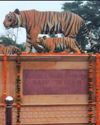 Can the Rajmata's legacy survive?49