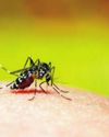GCPL sounds alarm bell over use of illegal Chinese mosquito repellent incense sticks49