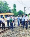 Railway, forest officials mull strategy after elephant deaths on tracks13