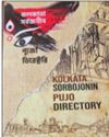 Book chronicles city Durga Pujas14