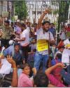 TET Qualified Candidates Protest, Demand Job Letters15