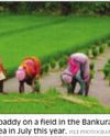 Govt to train youth as tourist guides Govt to train youth as tourist guides9