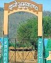 कूनो नेशनल पार्क में निर्वा बढ़ाएगी चीतों का कुनबा32