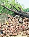 नीम का पेड़ कहर बनकर कमरे पर गिरा, महिला और उसके तीन बच्चों की मौत9