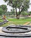 डीडीए अपने 750 हरित क्षेत्रों के लिए बनाएगा व्यापक जल सिंचाई परियोजना80