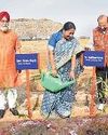 ओखला साइट पर दिसंबर तक खत्म होगा कूड़े का पहाड़86