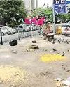 कार्रवाई के अभाव में कबूतरों को दाना डालने की बढ़ रही प्रवृत्ति9